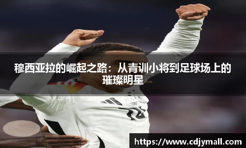 xk星空官方网站